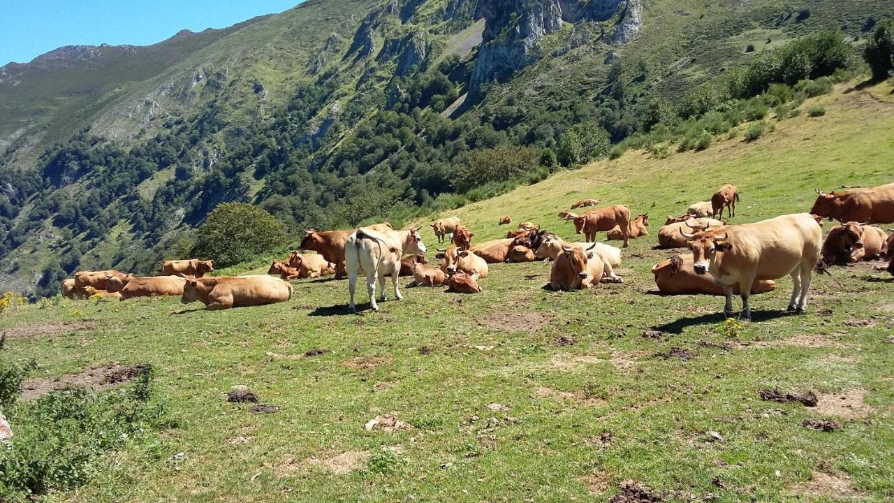 Felechosa Ski & Senderismo Dış mekan fotoğraf